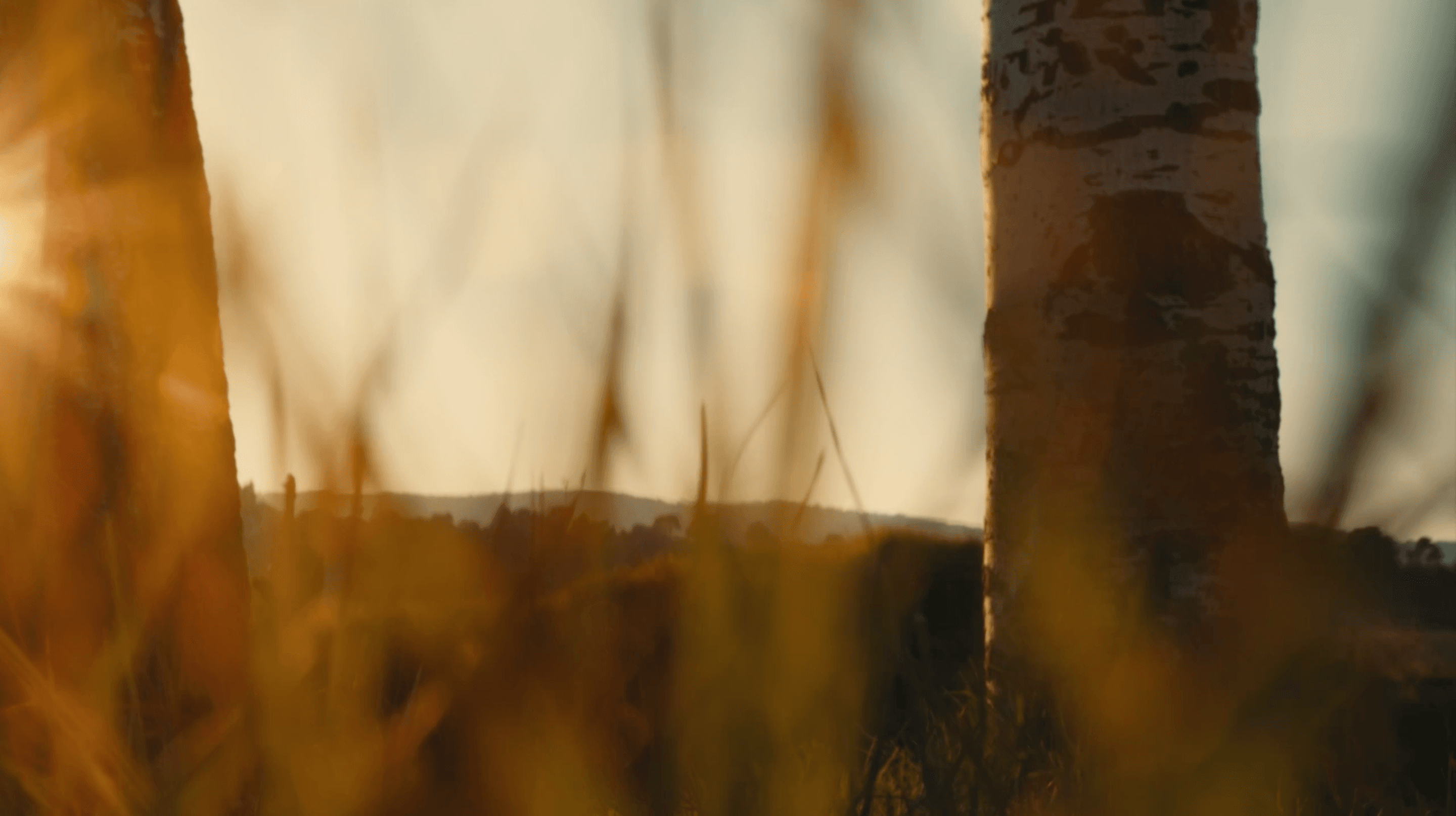 Body Scan Meditation (Full Episode)