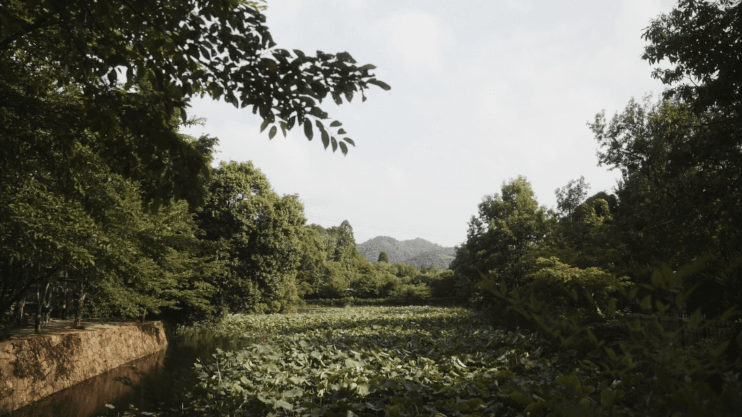 Lectio Divina for Holy Week